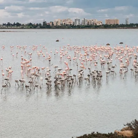 Promenade Breeze Larnaca